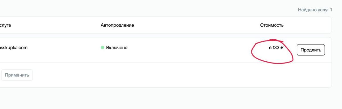 Изображение цены в личном кабинете nic.ru